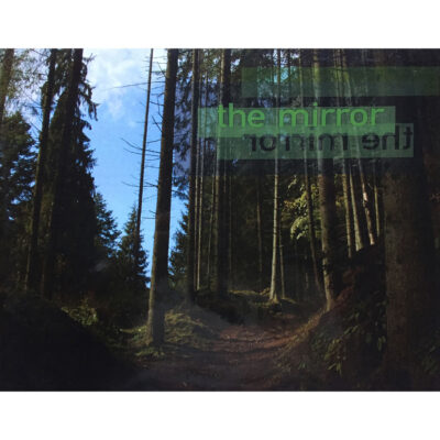 David Schulz Mirror