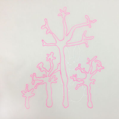 Alexandra Newmark Bunnies
